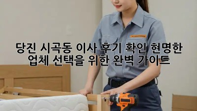 당진 시곡동 이사 후기 확인: 현명한 업체 선택을 위한 완벽 가이드