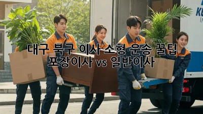 대구 북구 이사🚚 소형 운송 꿀팁🍯: 포장이사 vs 일반이사 🤔
