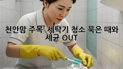 천안맘 주목! ✨ 세탁기 청소, 묵은 때와 세균 OUT! 🧺